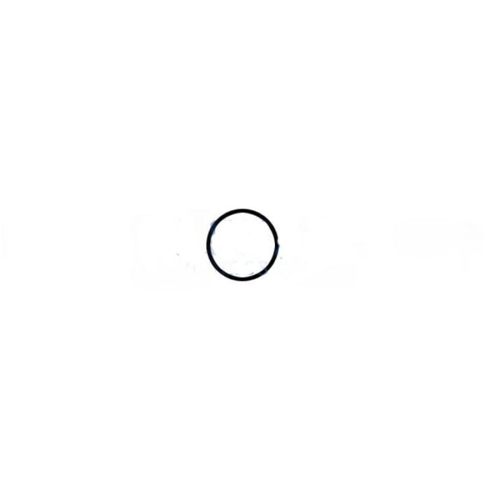 O-Ring für Mikromotoren des INTRA-Systems – Bild 1