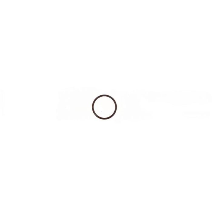 O-Ring für W&H Rotoren – Bild 1
