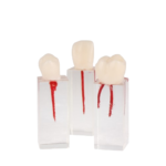 Conjunto de dentes para endodontia para consulta BADER®️ DENTAL