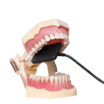 X-Digital-Strahlensensor HDR 600 BADER®️ DENTAL – Bild 3