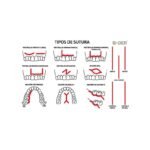 BADER® DENTAL Nahtmaterial-Kit – Bild 5