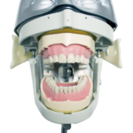 Kim BADER® DENTAL® Fantasma Completo Kim BADER® DENTAL - Image 2