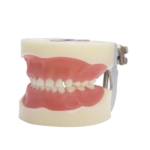 Typodoncja dla dzieci Nissin® typu BADER® DENTAL®