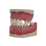 Bader BADER® DENTAL® Chirurgisches Tipodontal® Chirurgisches Tipodont