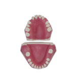 Bader BADER® DENTAL® Chirurgisches Tipodontal® Chirurgisches Tipodont – Bild 3