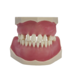 Bader BADER® DENTAL® Chirurgisches Tipodontal® Chirurgisches Tipodont – Bild 2