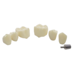 Modelo de demonstração de implante BADER® DENTAL - Image 2