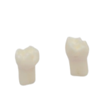Pulpotomie-Zahnset für AK6 BADER® DENTAL – Bild 2