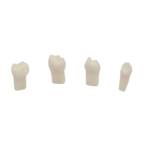 Pulpotomie-Zahnset für AK6 BADER® DENTAL