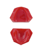 Modelo edêntulo com tala BADER®️ DENTAL - Image 2