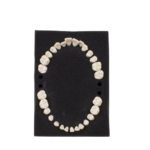 Ana4 Ersatzzähne BADER® DENTAL – Bild 2
