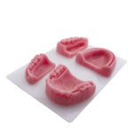 Bader® Dental Silikonnaht-Übungsmodell