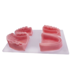 Bader® Dental Silikonnaht-Übungsmodell – Bild 2