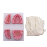 Bader® Dental Silikonnaht-Übungsmodell – Bild 3