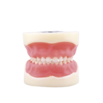 Typodoncja dla dzieci Nissin® typu BADER® DENTAL® - obrazek 3