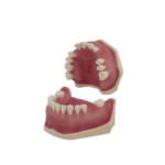 Bader BADER® DENTAL® Chirurgisches Tipodontal® Chirurgisches Tipodont – Bild 4