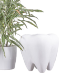 Bader Backenzahnhocker BADER®️ DENTAL