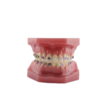 Seja suporte para o modelo BADER® DENTAL