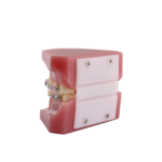 Seja suporte para o modelo BADER® DENTAL - Image 6