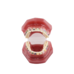 Seja suporte para o modelo BADER® DENTAL - Image 4