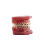 Seja suporte para o modelo BADER® DENTAL - Image 5