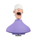 Modelo de prática fantasma de âncora de mesa BADER® DENTAL® - Image 3