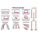 BADER® DENTAL® Nahtpraxis-Modell – Bild 3