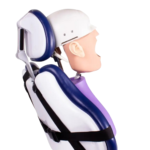BADER® DENTAL Vollständige Zahnpuppe – Bild 2