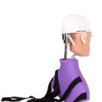 BADER® DENTAL Vollständige Zahnpuppe – Bild 5